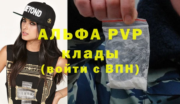 ешки Алексин