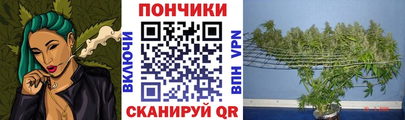 что такое наркотик  MEGA маркетплейс  Марихуана индика  Киселёвск 